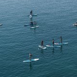 Paddle